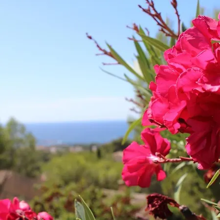 Apartment Appartement Climatise Vue Mer Terrasse Et Piscine